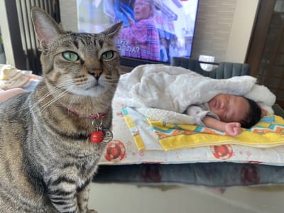 Baby sitting while Leo's sleeping