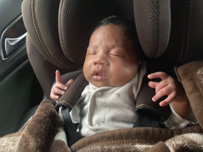 He seems to like to be in a car!