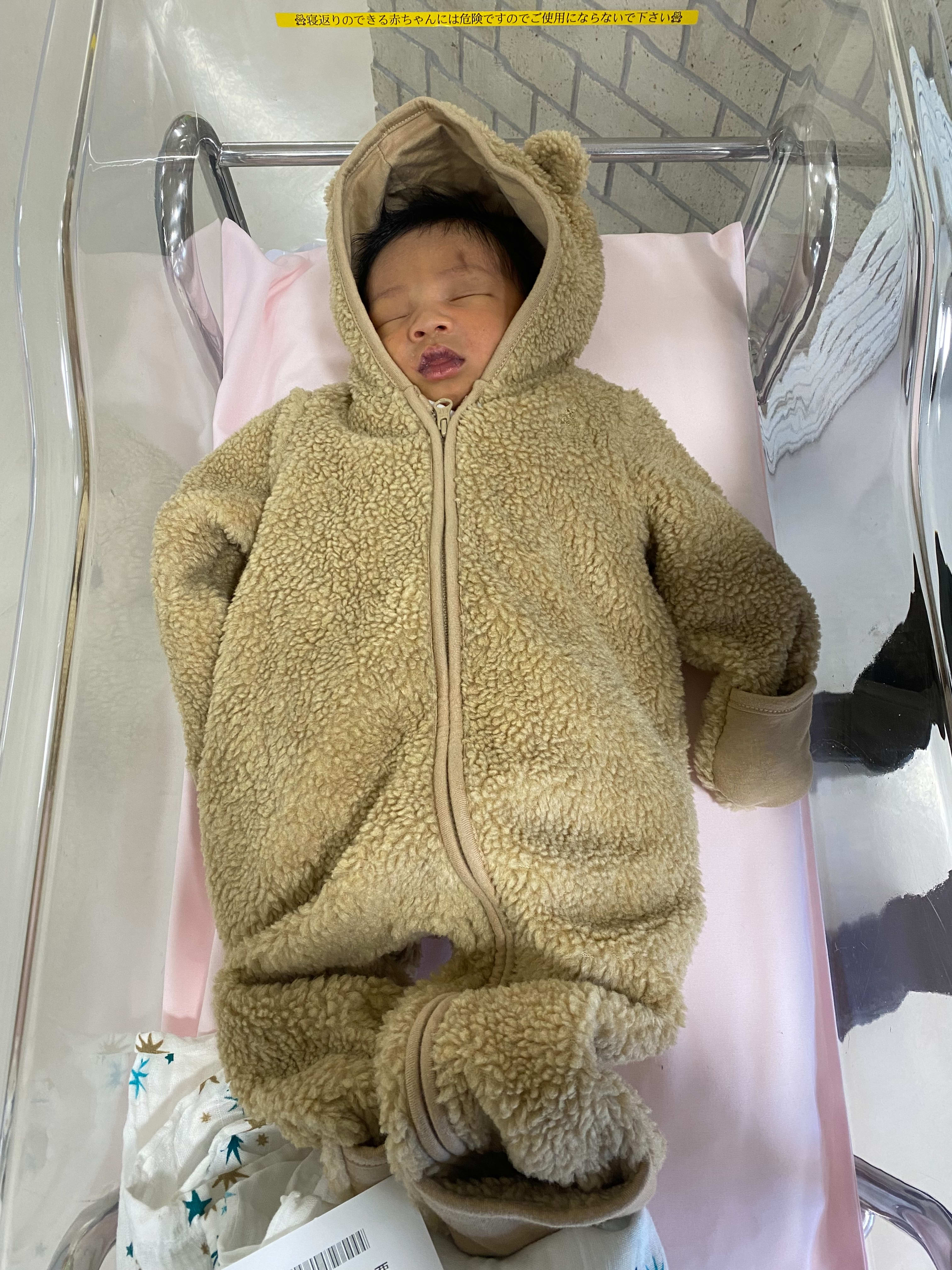 Bear Costume