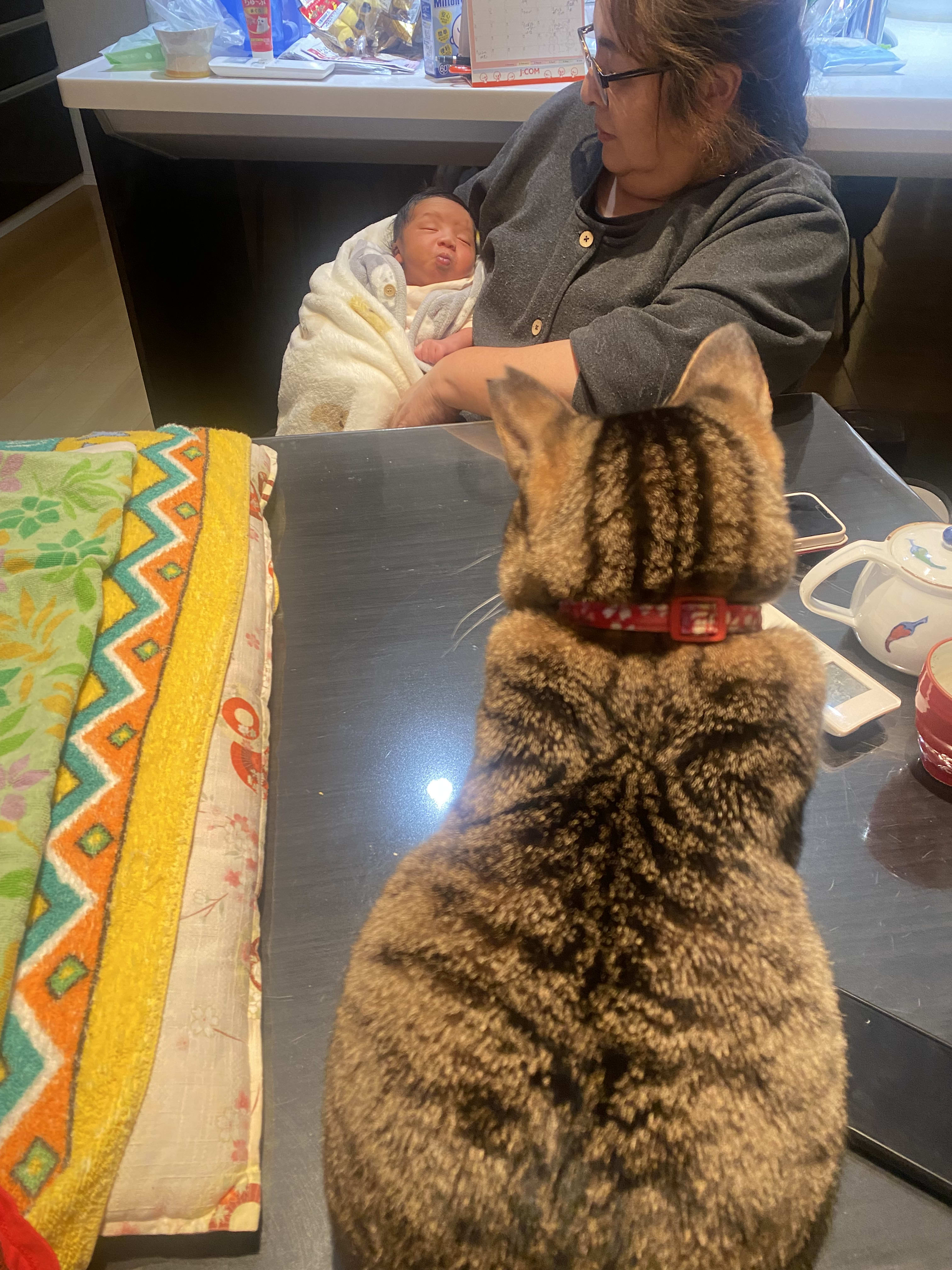 Auntie Moca seems to be concerning about Leo