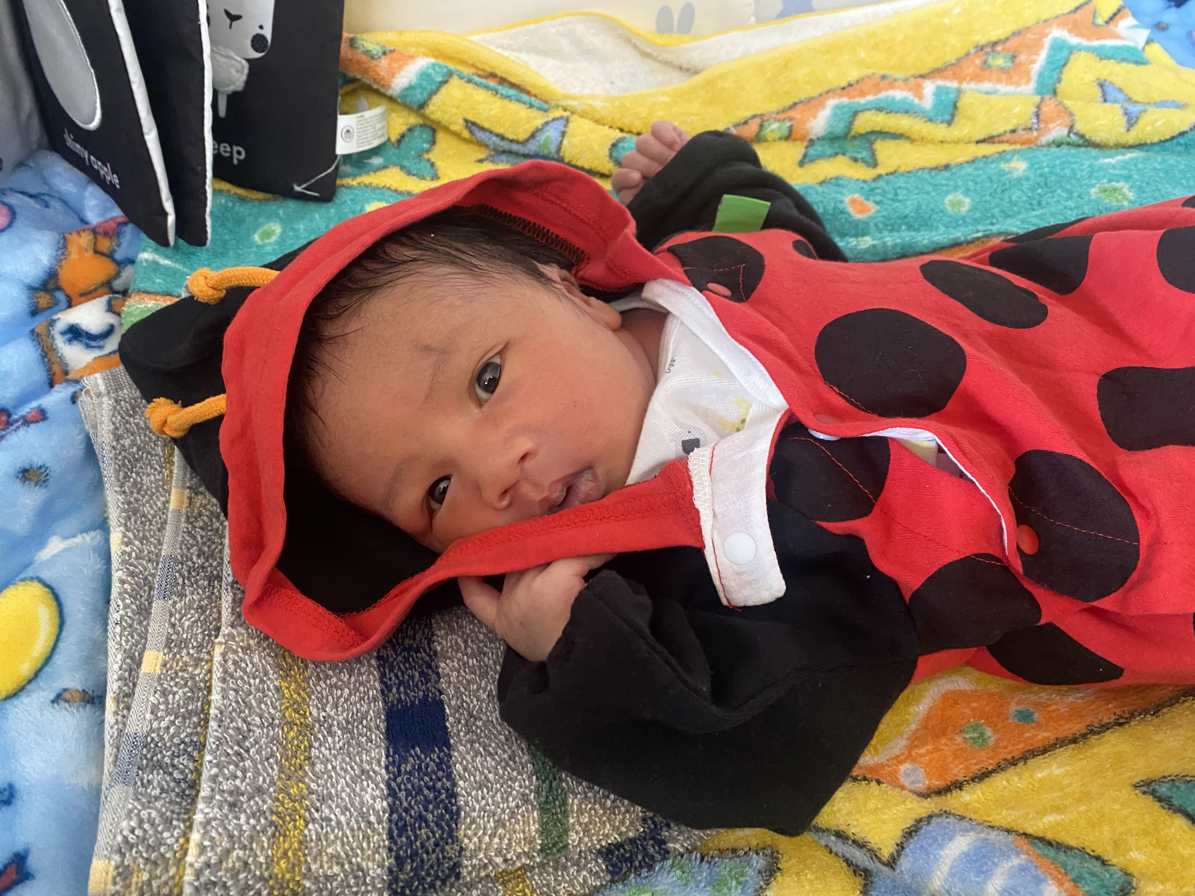 Ladybug clothes