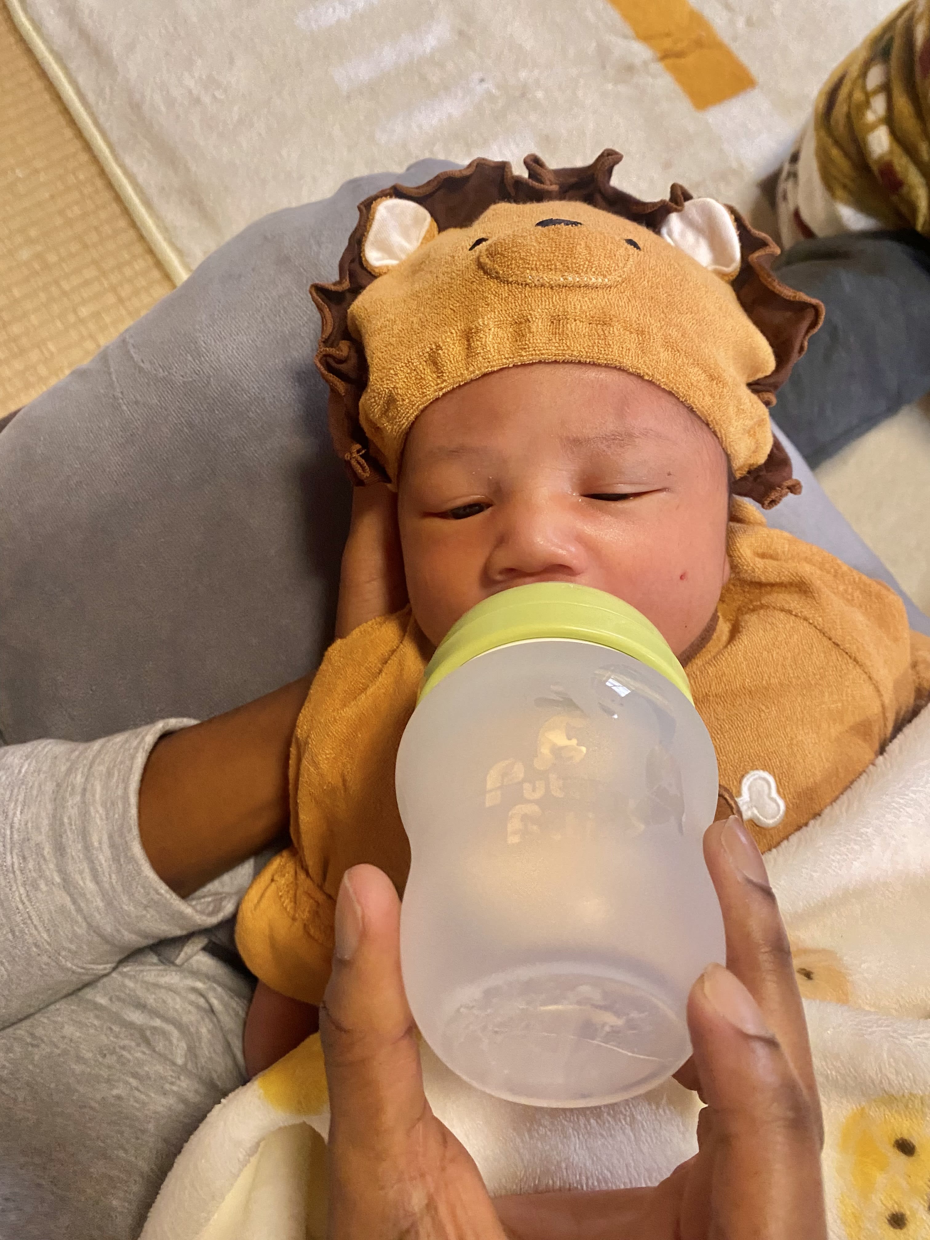 Dad fed milk to a little lion