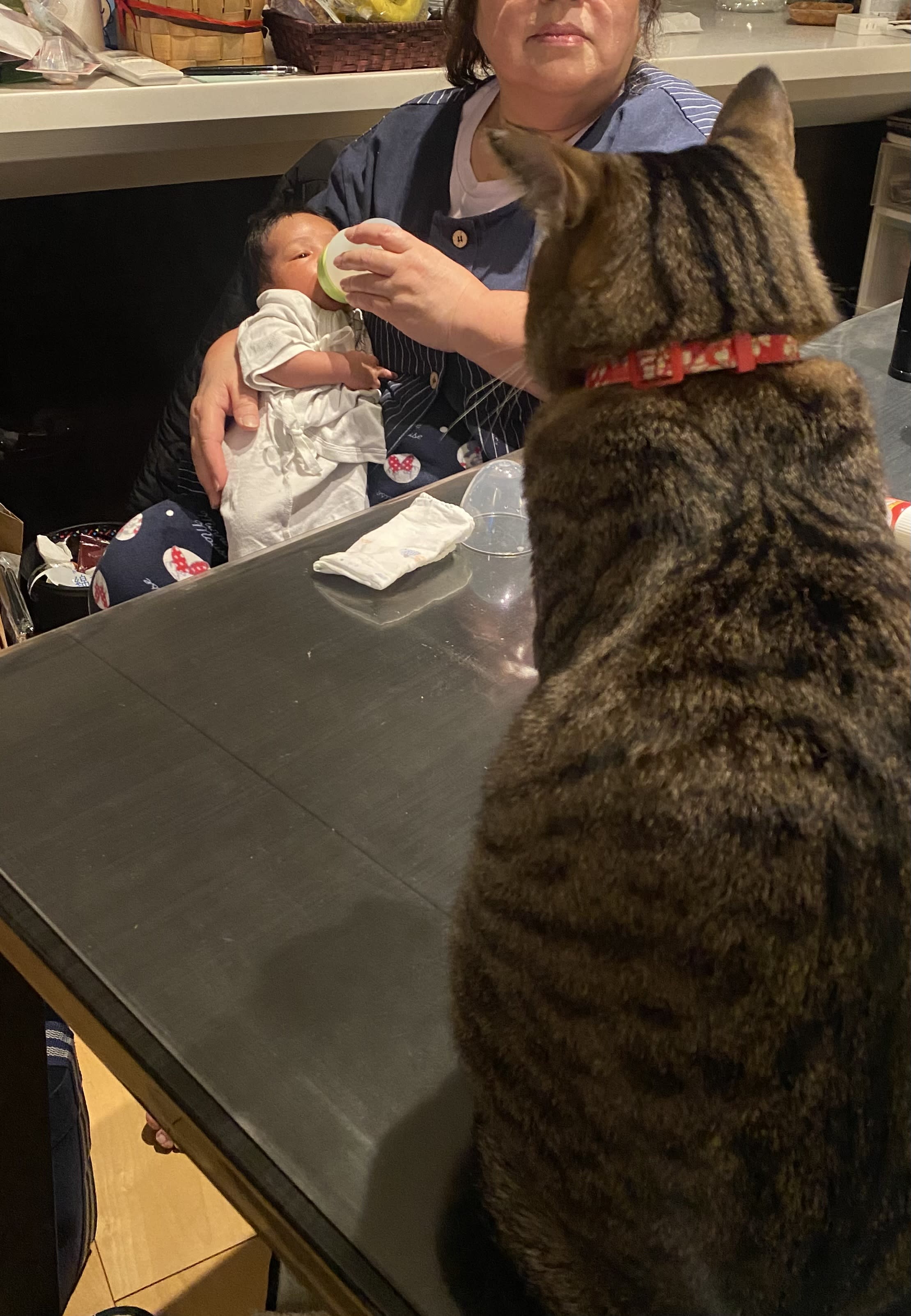 Moca looks jealous of Leo