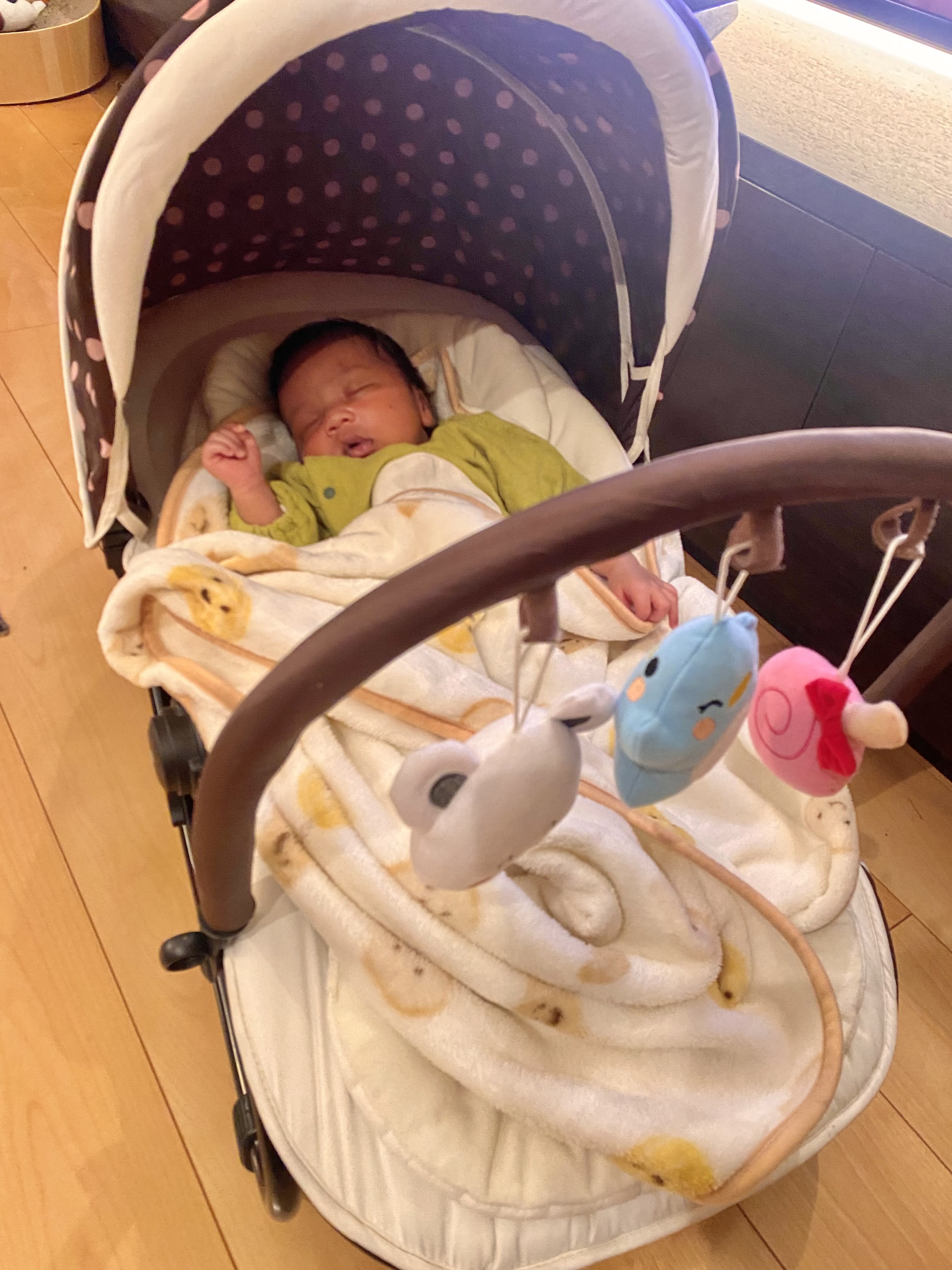 He seems to like a baby bouncer!