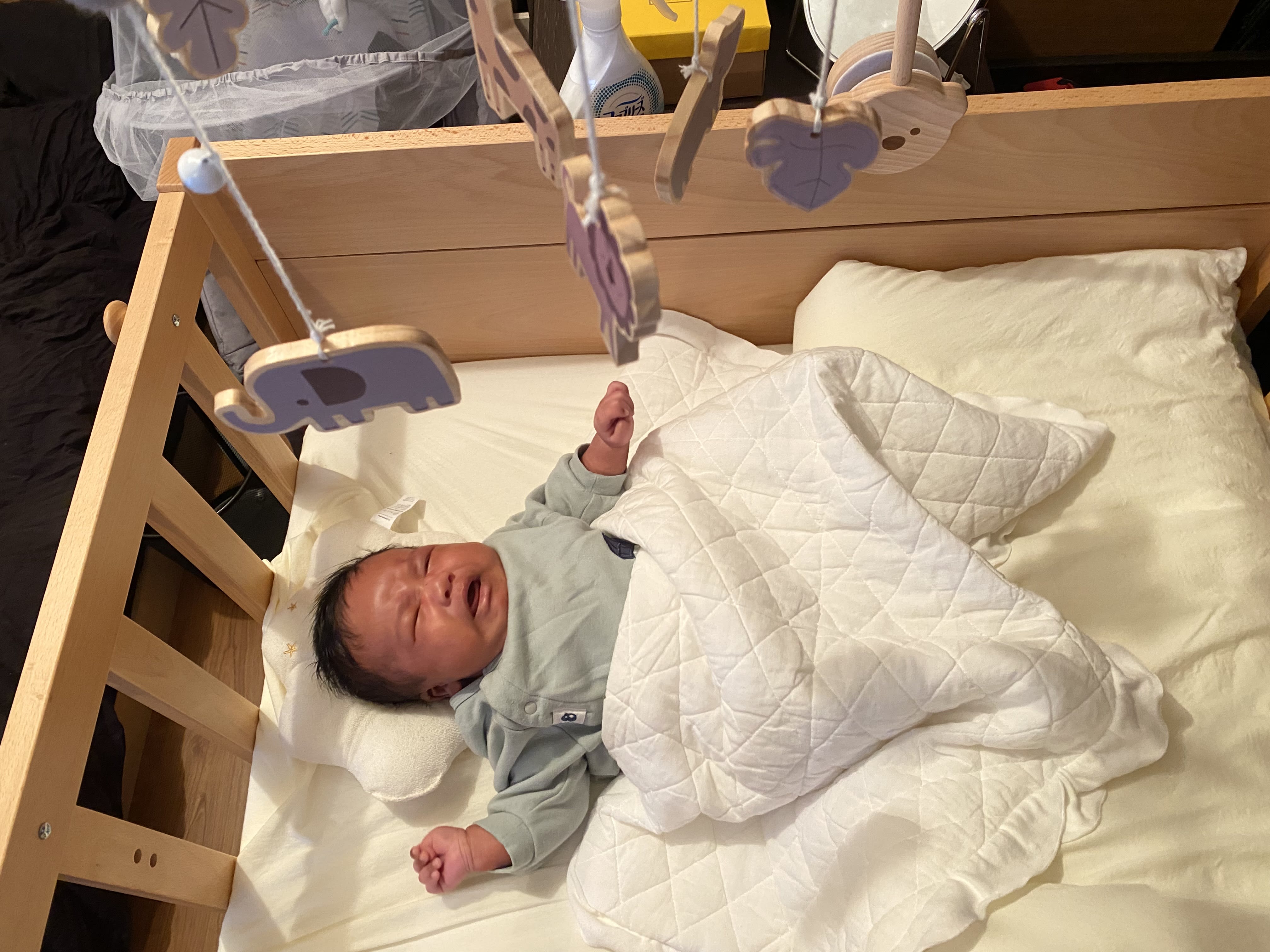 New bed!