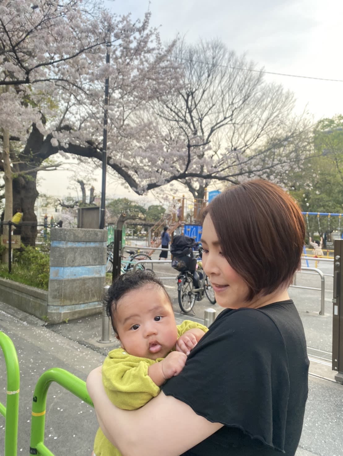 With cherry blossoms