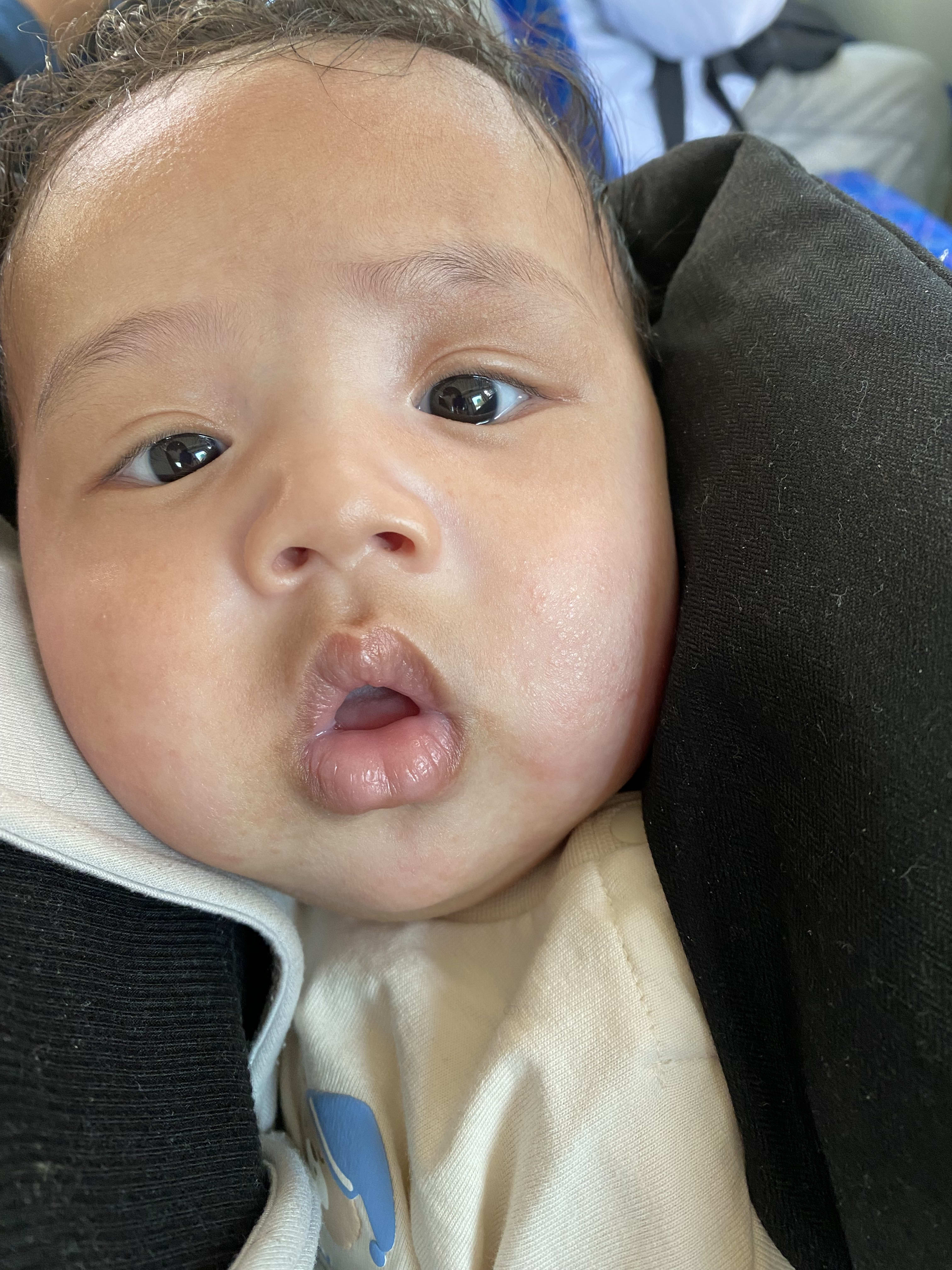 He took a bus for his first time!