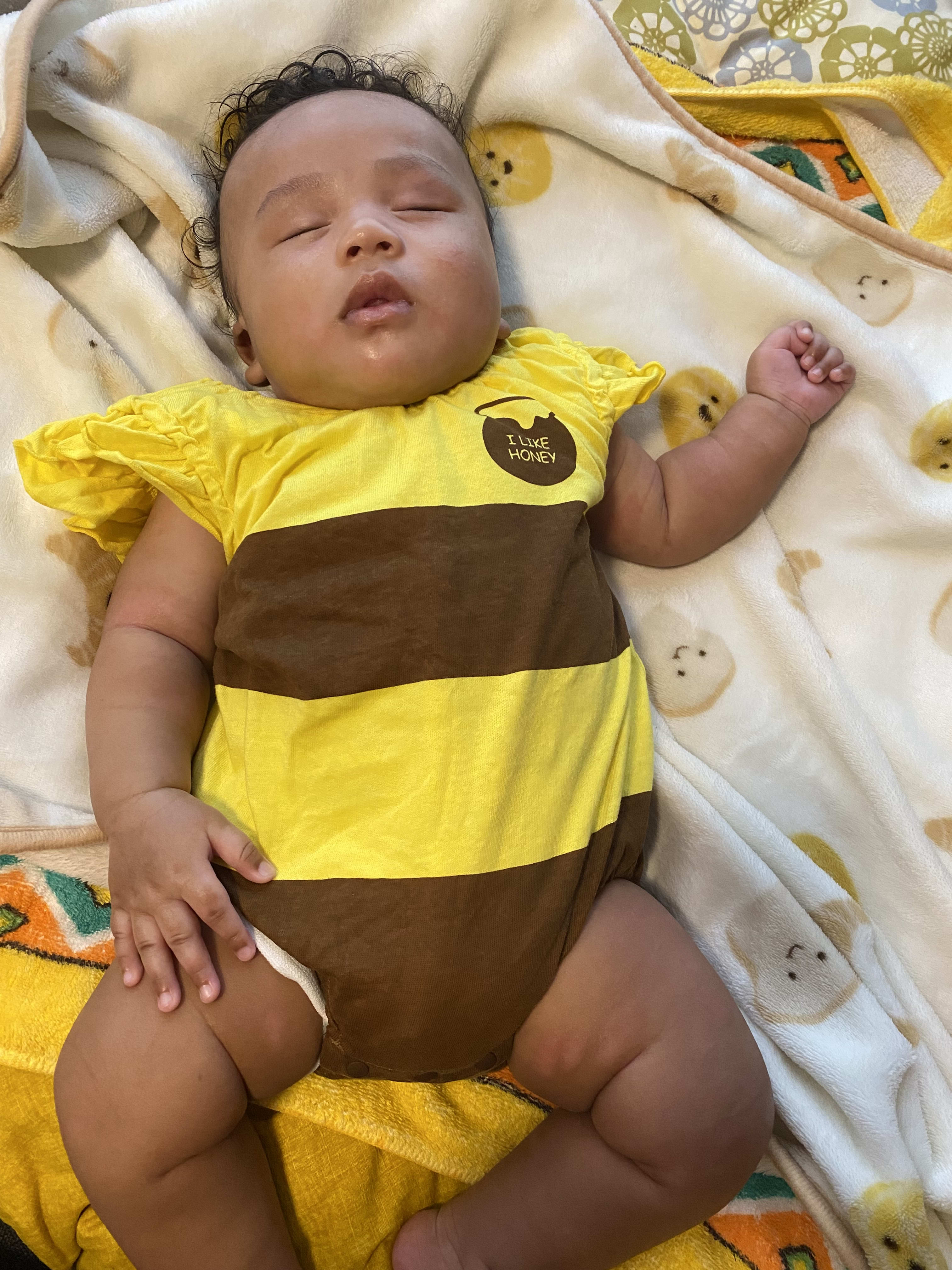 Sleeping cute bee