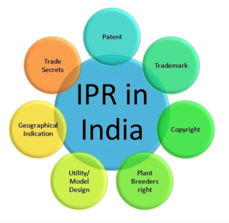 Intellectual Property Rights