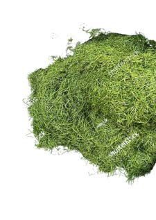 Shredded Turf