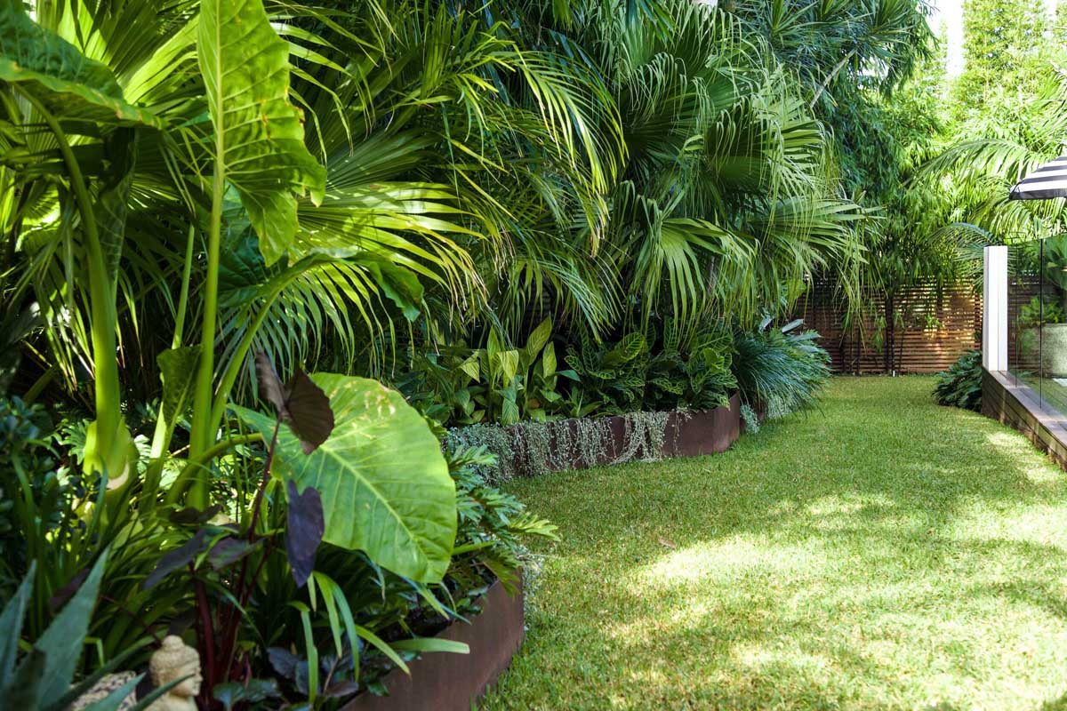 Low maintenance backyard with lush green lawn and tropical plants