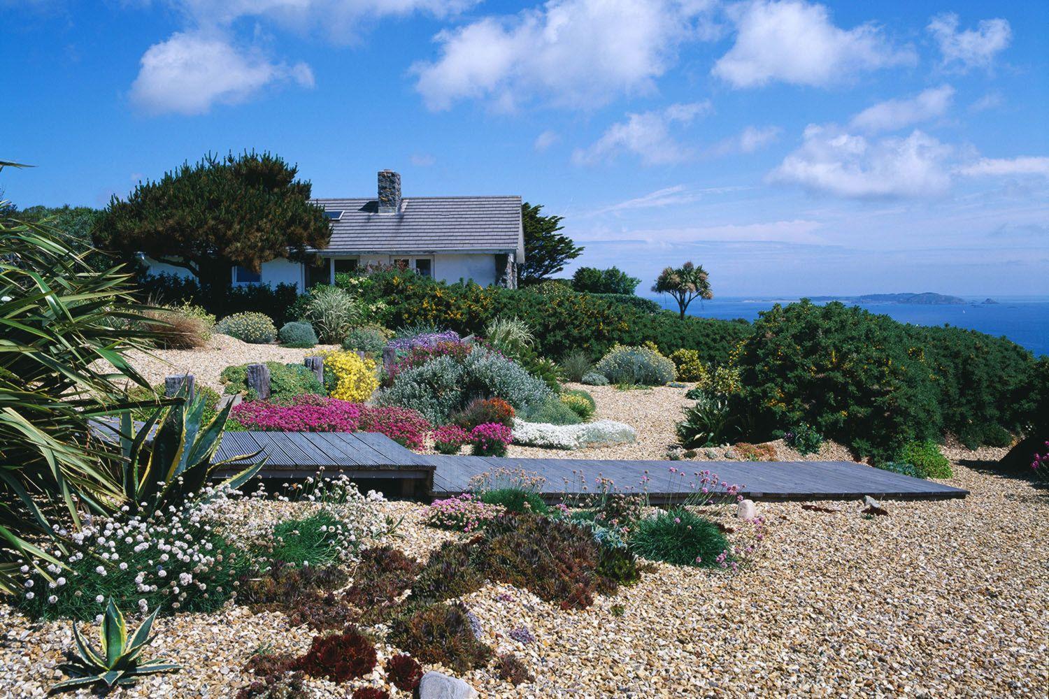 Coastal garden with hardy plants suited for beachside conditions