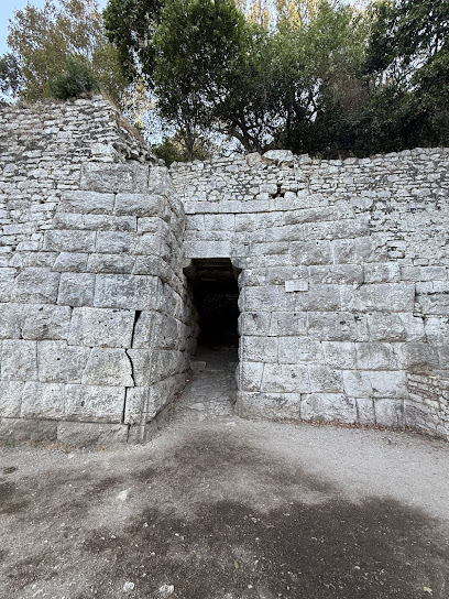 Porta e Liqenit