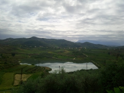 Liqeni i Gegës