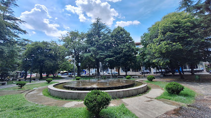 Sheshi “Kozma Naska”
