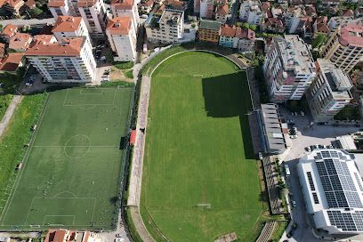 Stadiumi “Gjorgji Kyçyku”