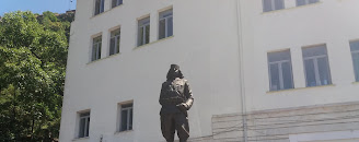 Sheshi Topulli