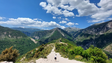 Pikë Panoramike e Tepelenës
