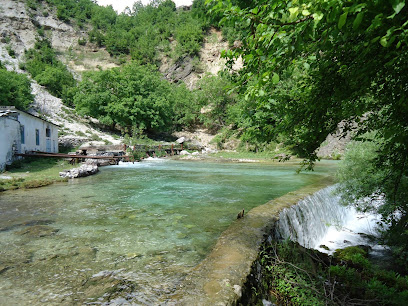 Vrella e Shoshanit