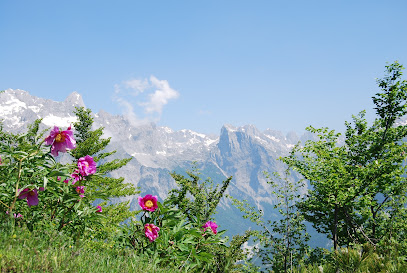 Parku Kombëtar i Thethit