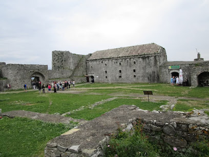 Xhamia e Mehmed Fatihut