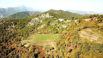 Kisha e Shën Gjonit në Kulme