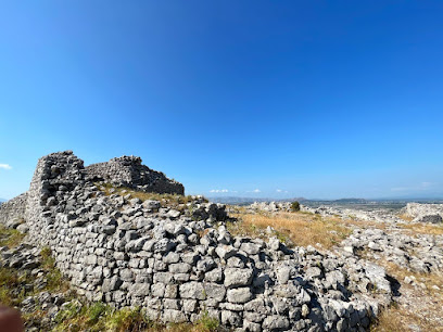 Kalaja e Danjës