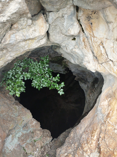 Shpella e Pëllumbave