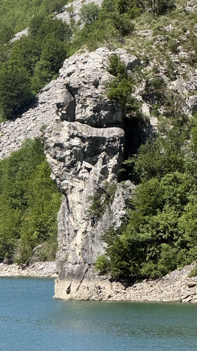 Njeriu mbi Shkëmb