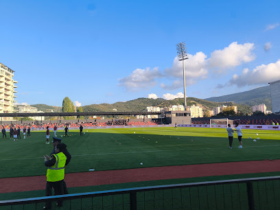 Stadiumi Flamurtari
