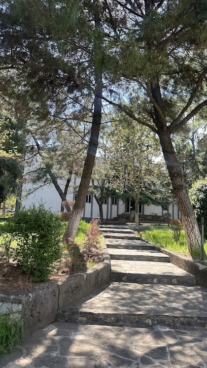 Xhamia e Burrelit
