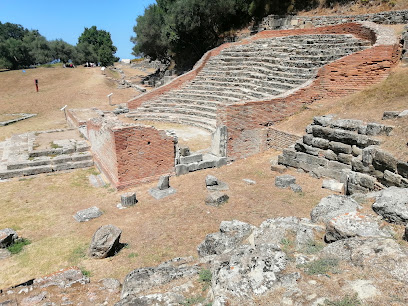 Biblioteka e Apolonisë