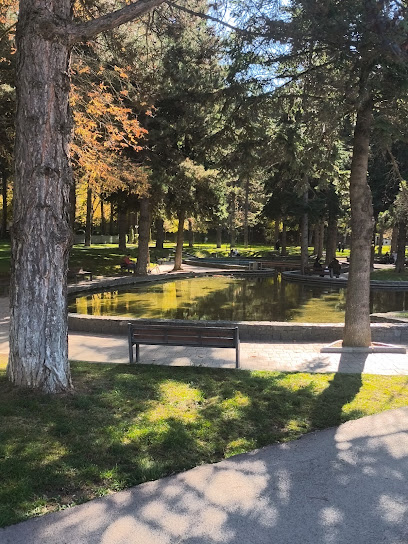 Children’s Playground