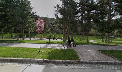 Parku i Calisthenics