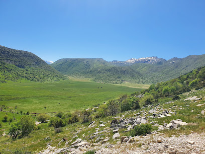 Parku Natyror i Zagorisë