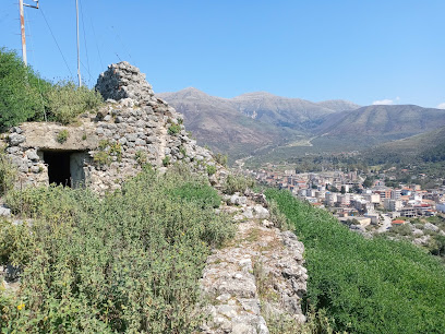 Kalaja e Delvinës