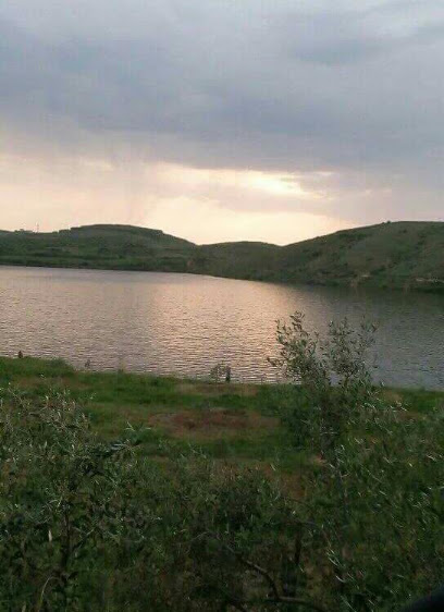 Liqeni i Kashtës