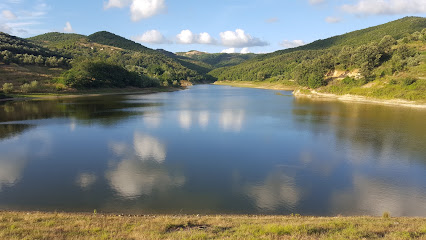 Liqeni i Manzës