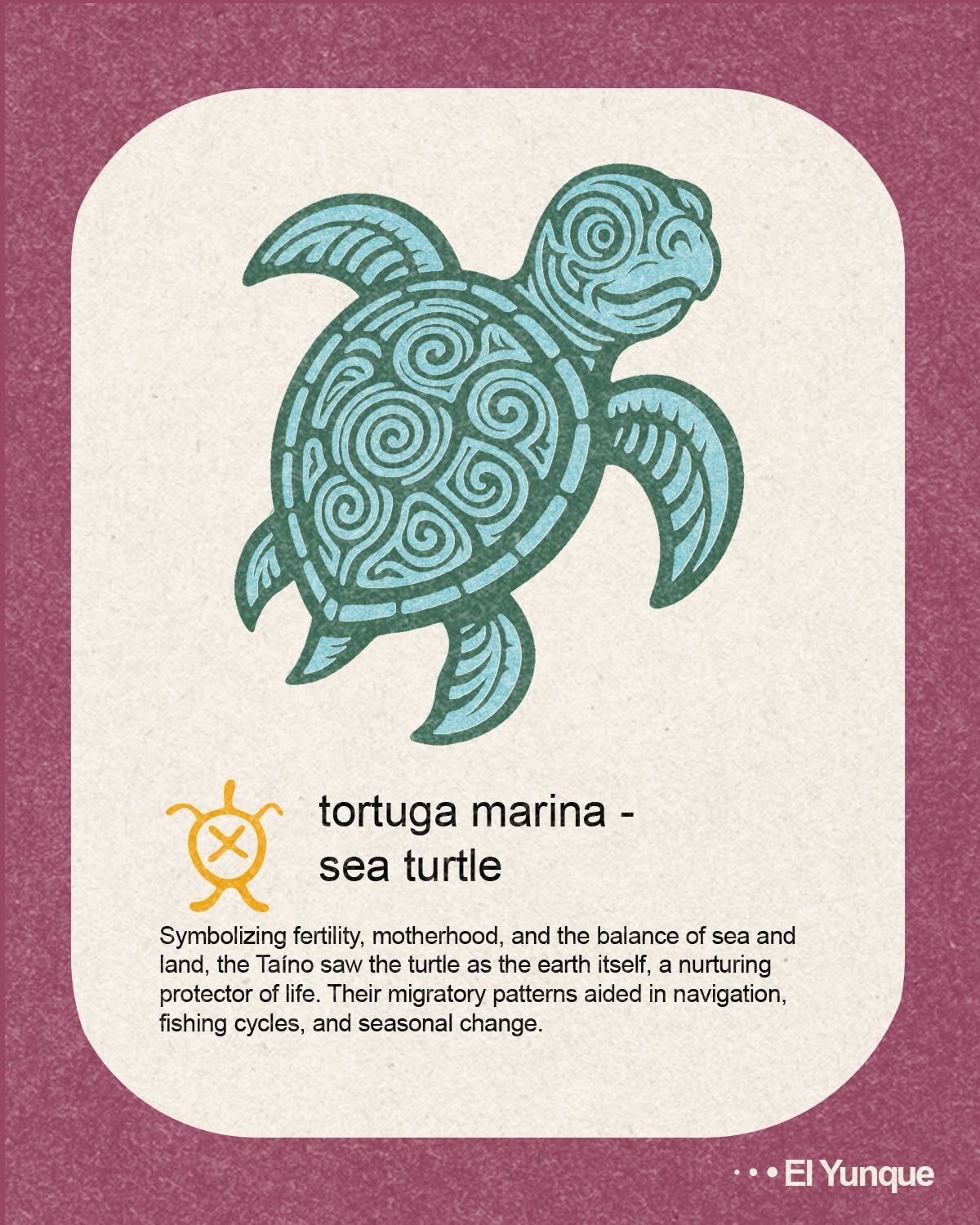 Sea turtle postcard