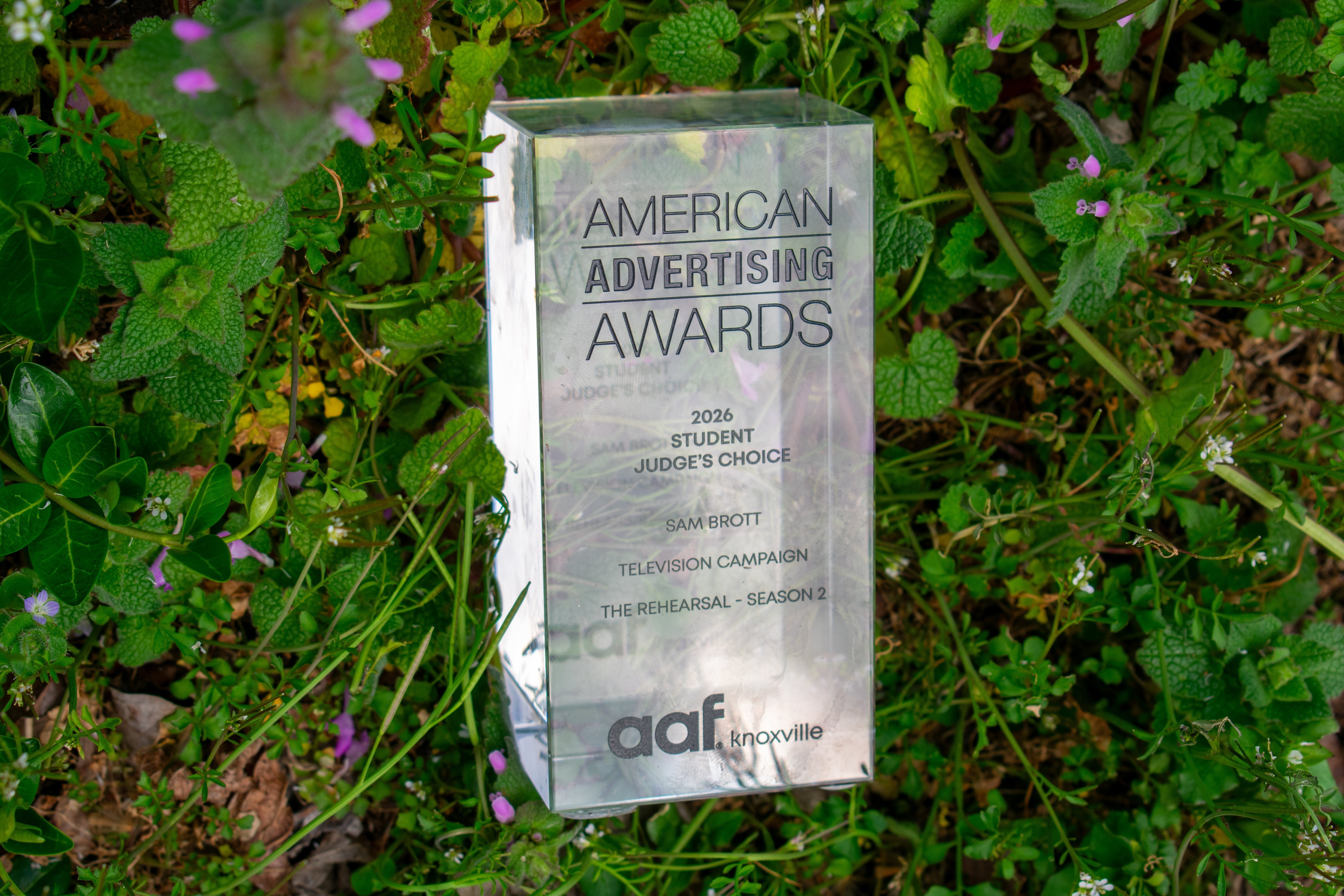 Judge's Choice Award