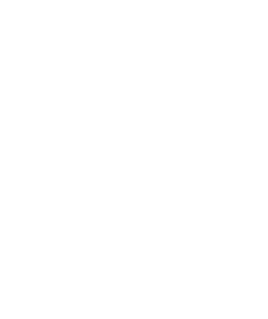 detail icon