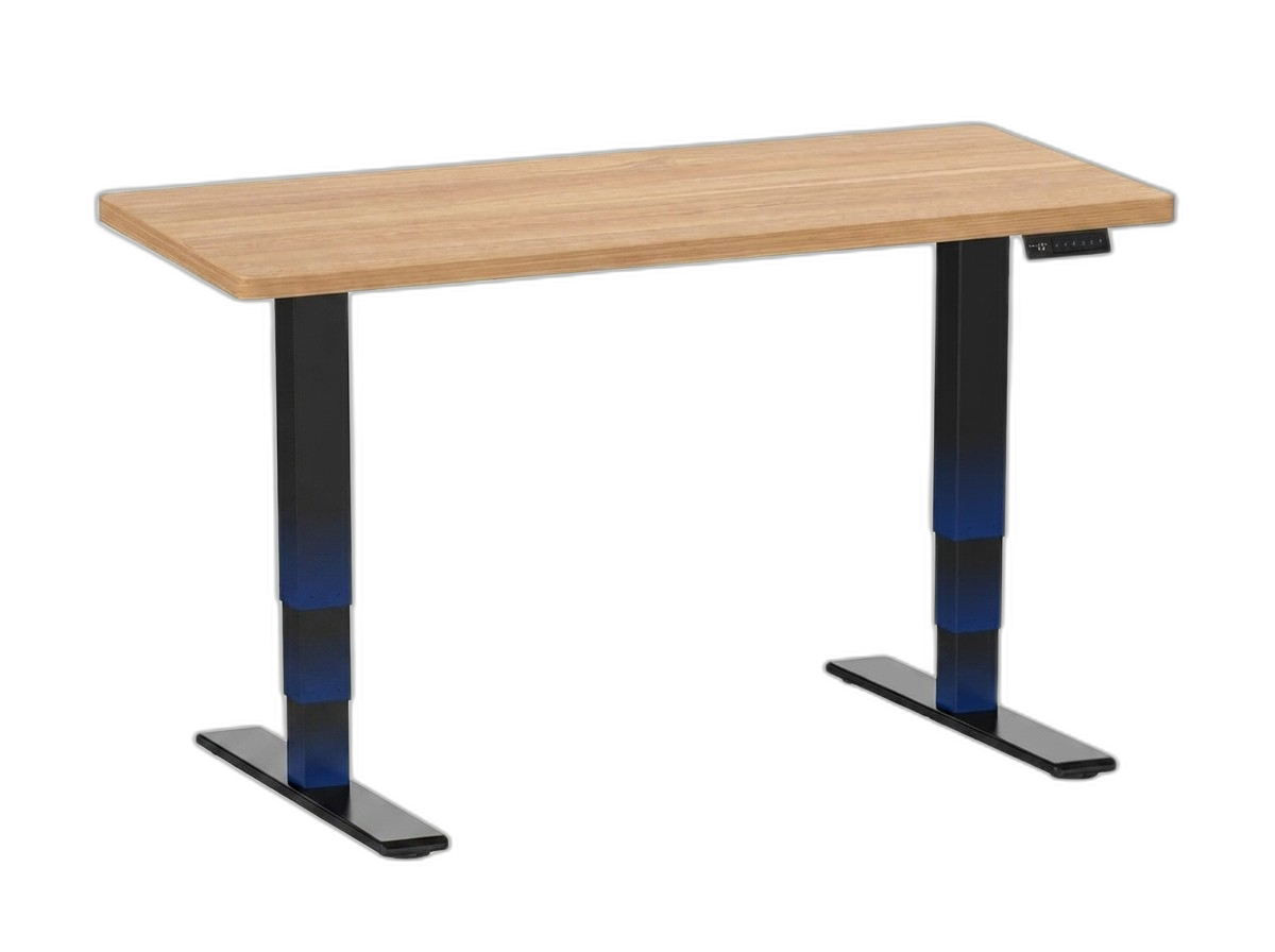 FLEXISPOT E6 MAX