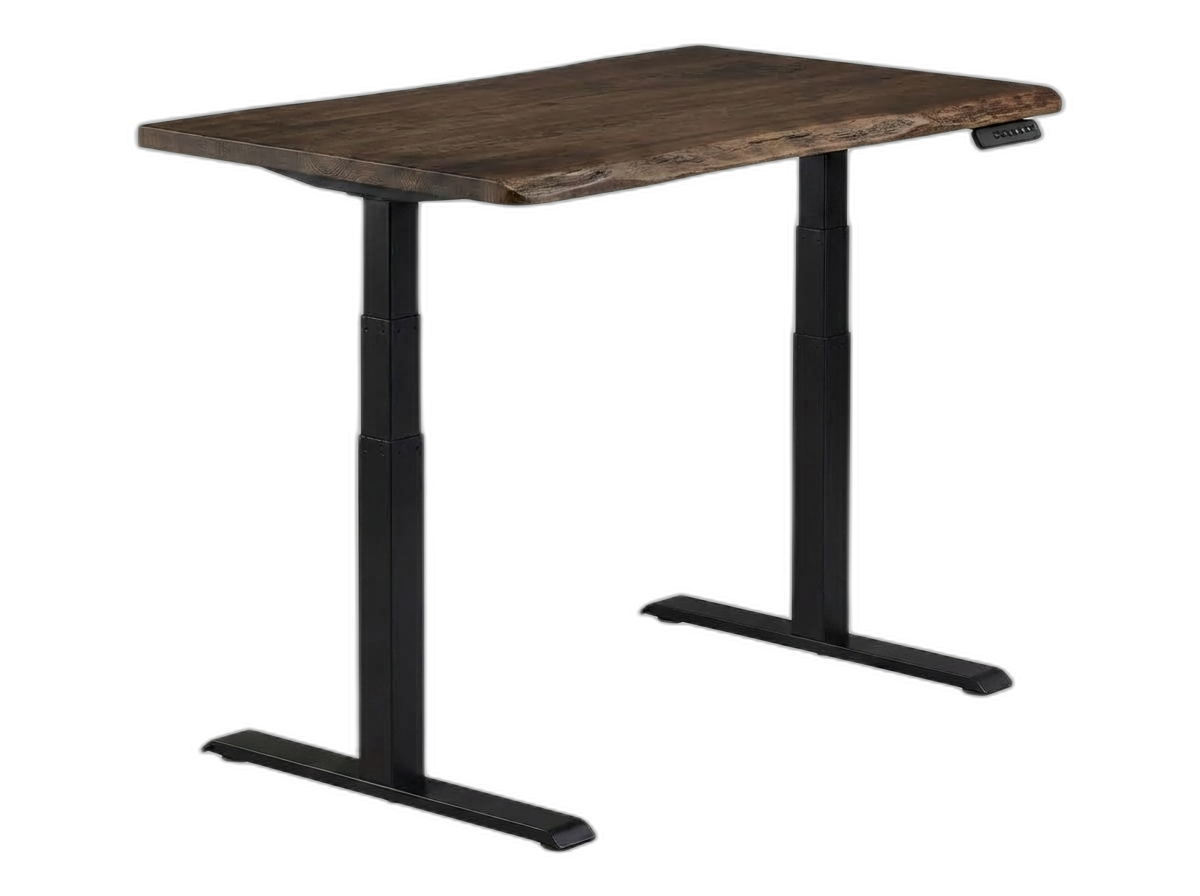 Vari Electric Standing Desk