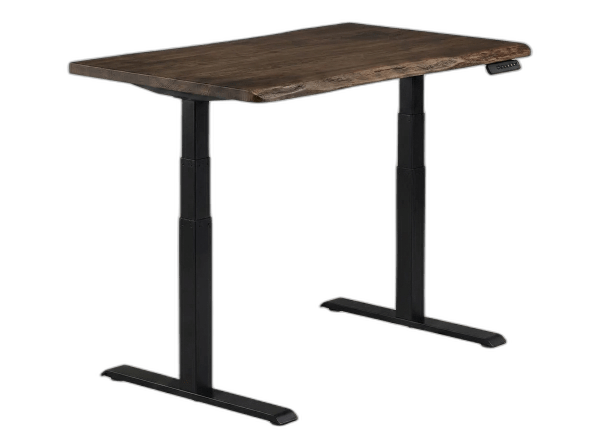 Vari Electric Standing Desk