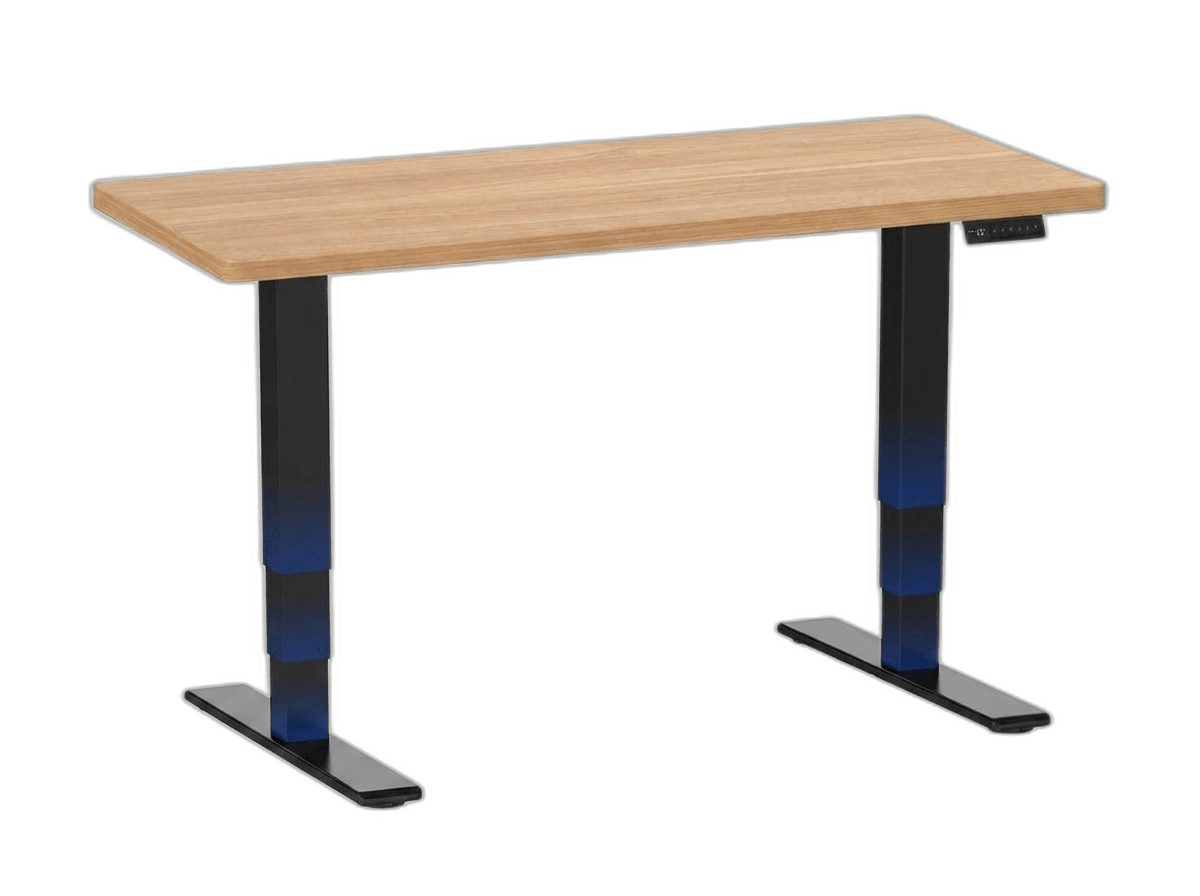 FLEXISPOT E6 MAX