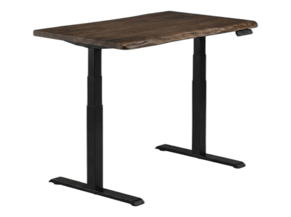 Vari Electric Standing Desk