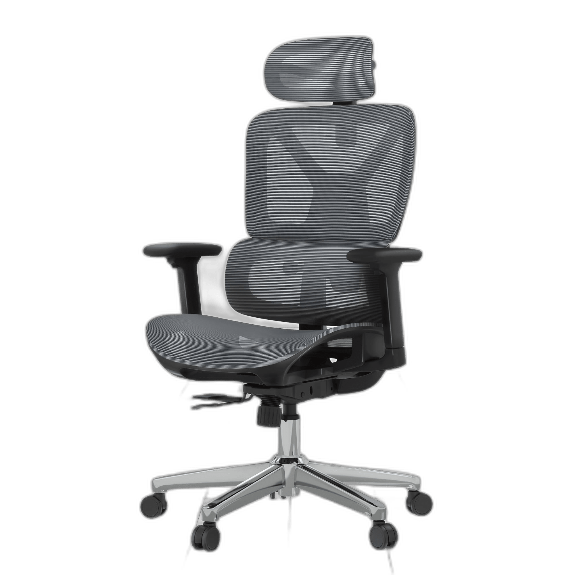 FlexiSpot ErgoX