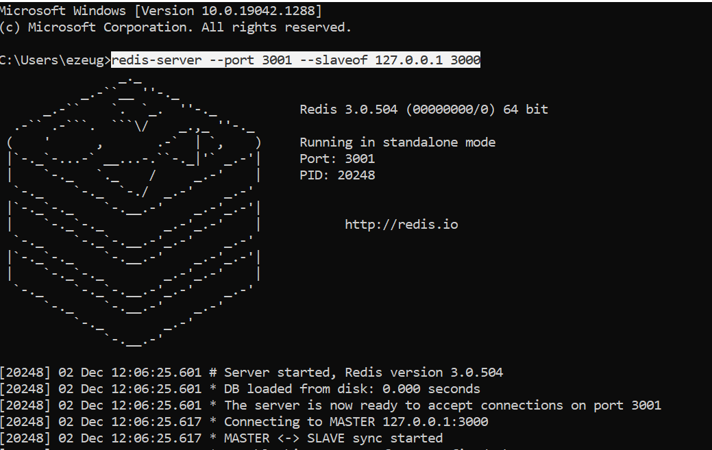 ezeugwagerrard-redis-replica1.png