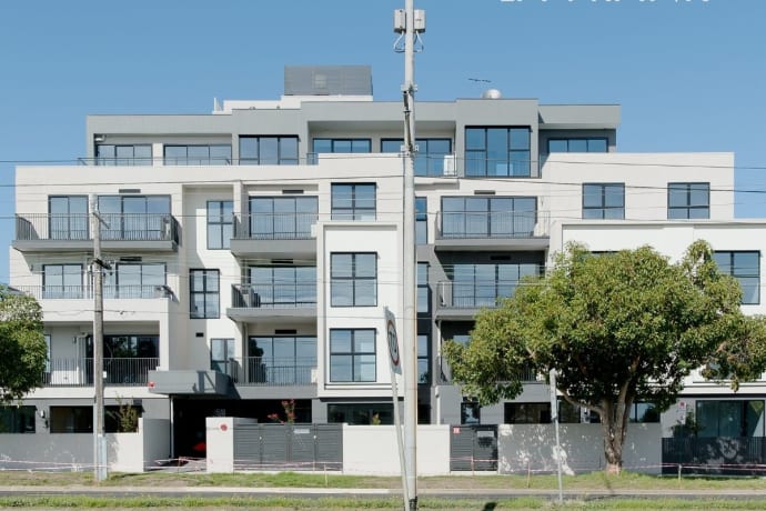 Cornus La Frank - 362 Burwood Highway, Burwood