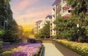 Giving new meaning to `garden apartment’